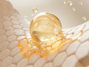 Low Molecular Collagen