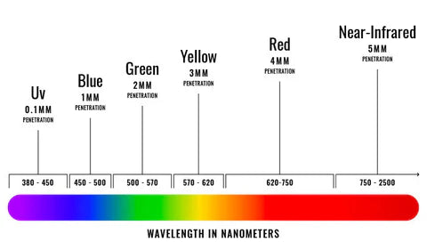 My Skin Buddy Boost ( MSB )